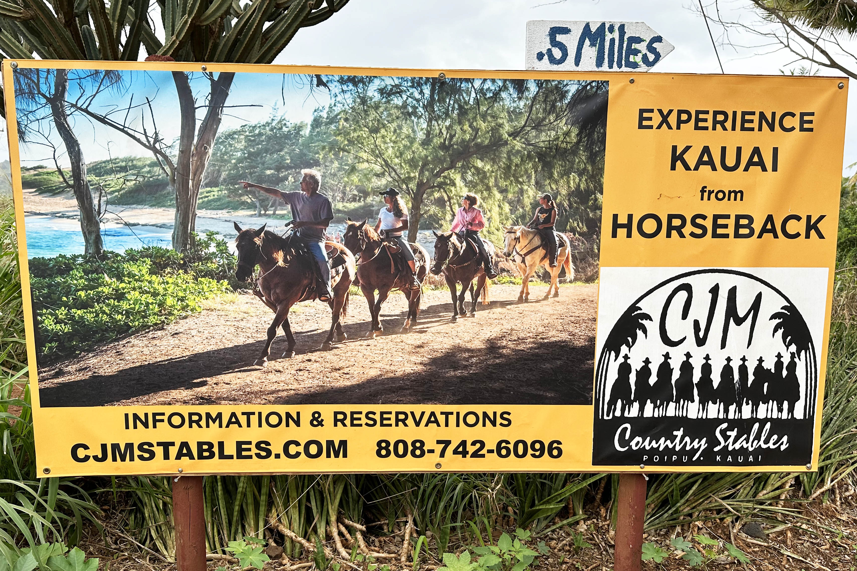 CJM Stables