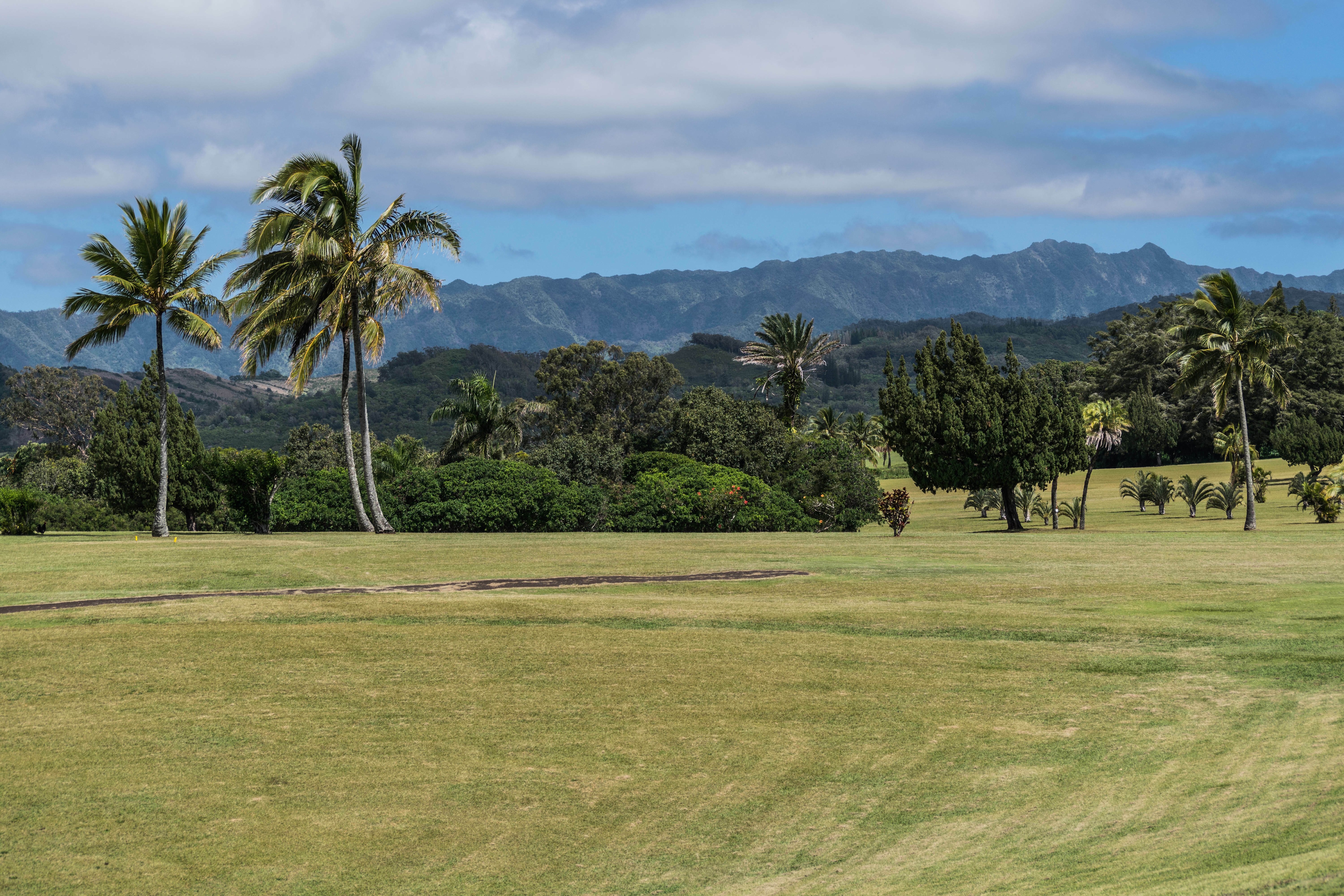 Kukuiolono Park