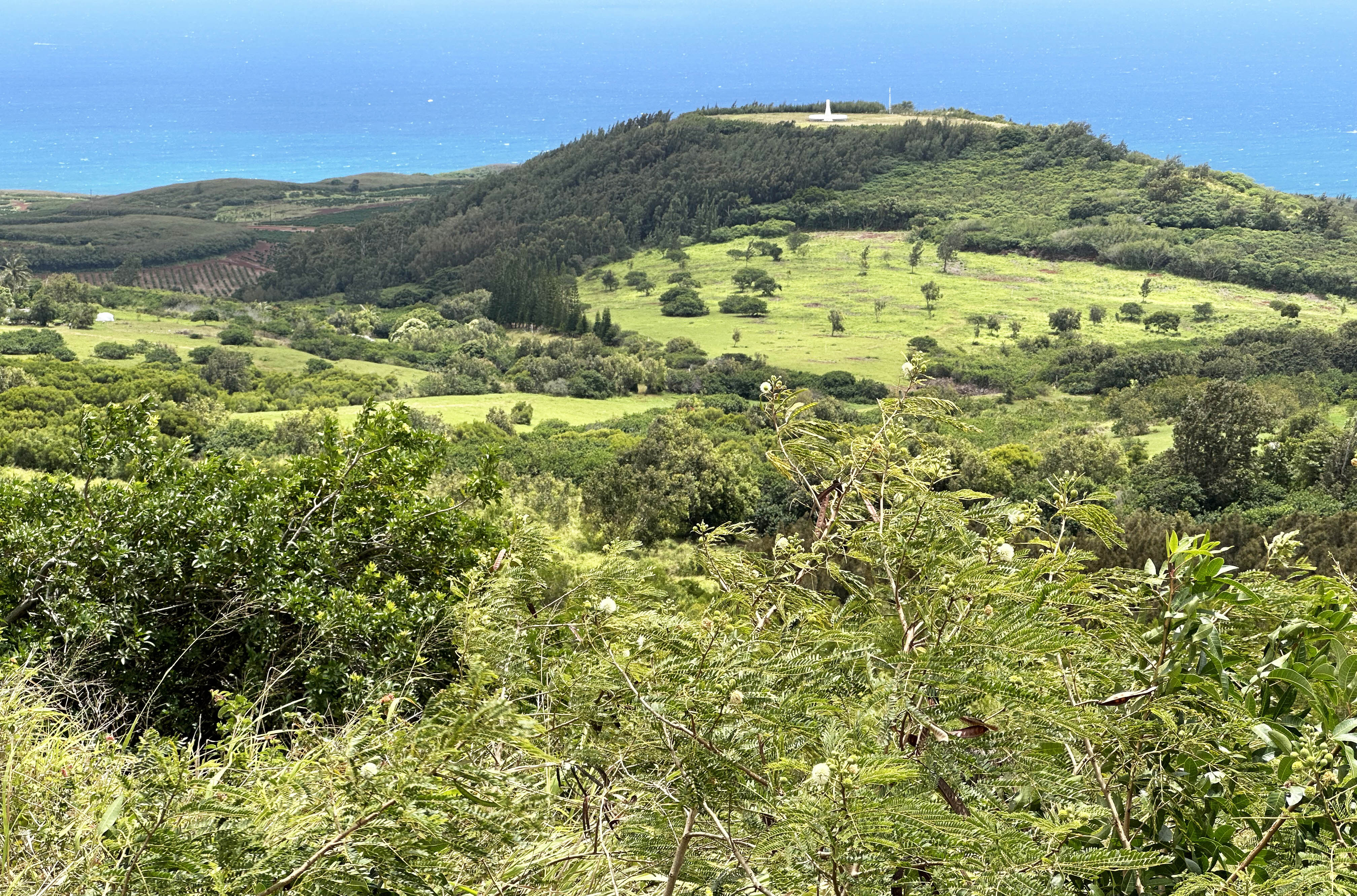 Kukuiolono Park ocean view