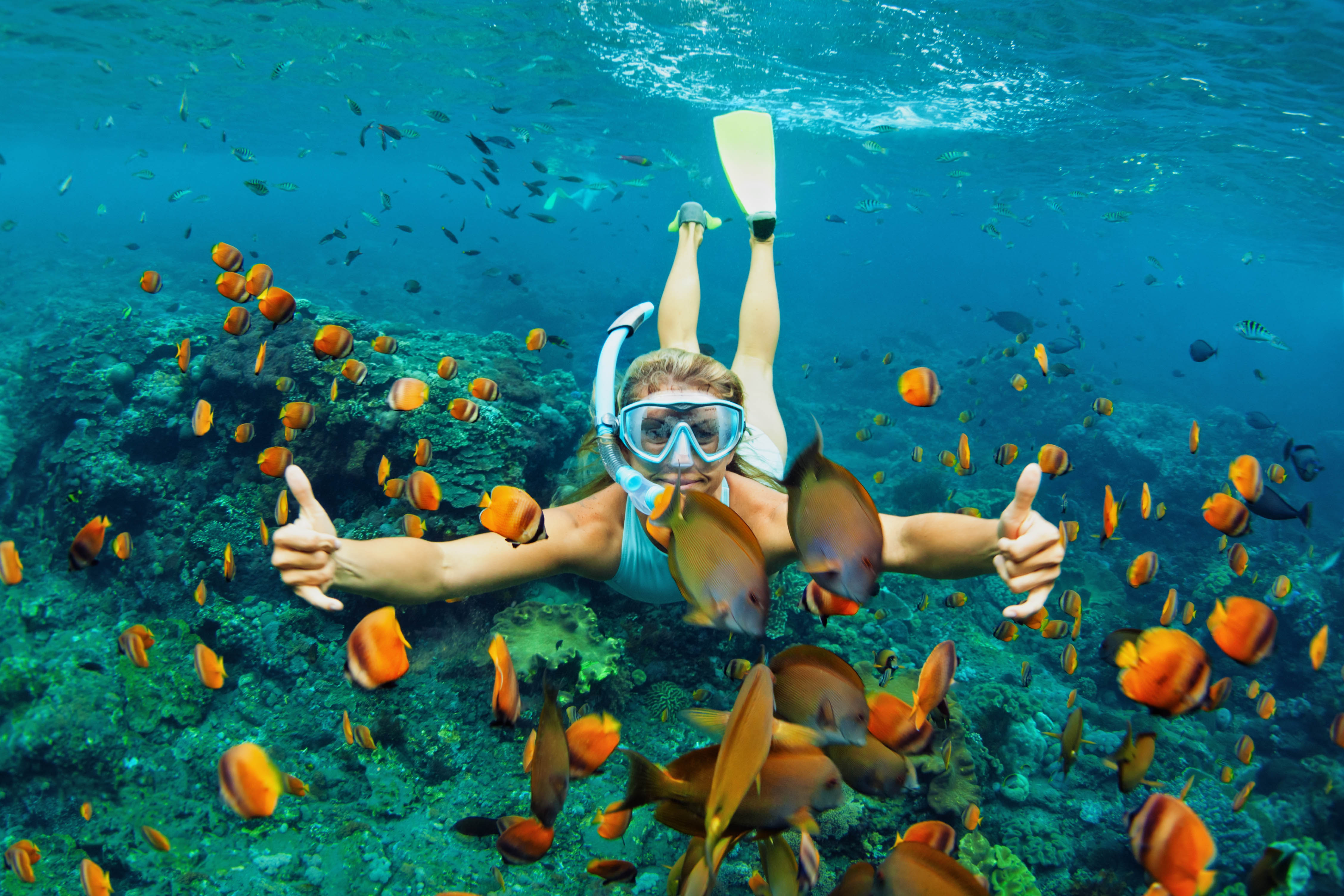 Snorkeling in Hawaii