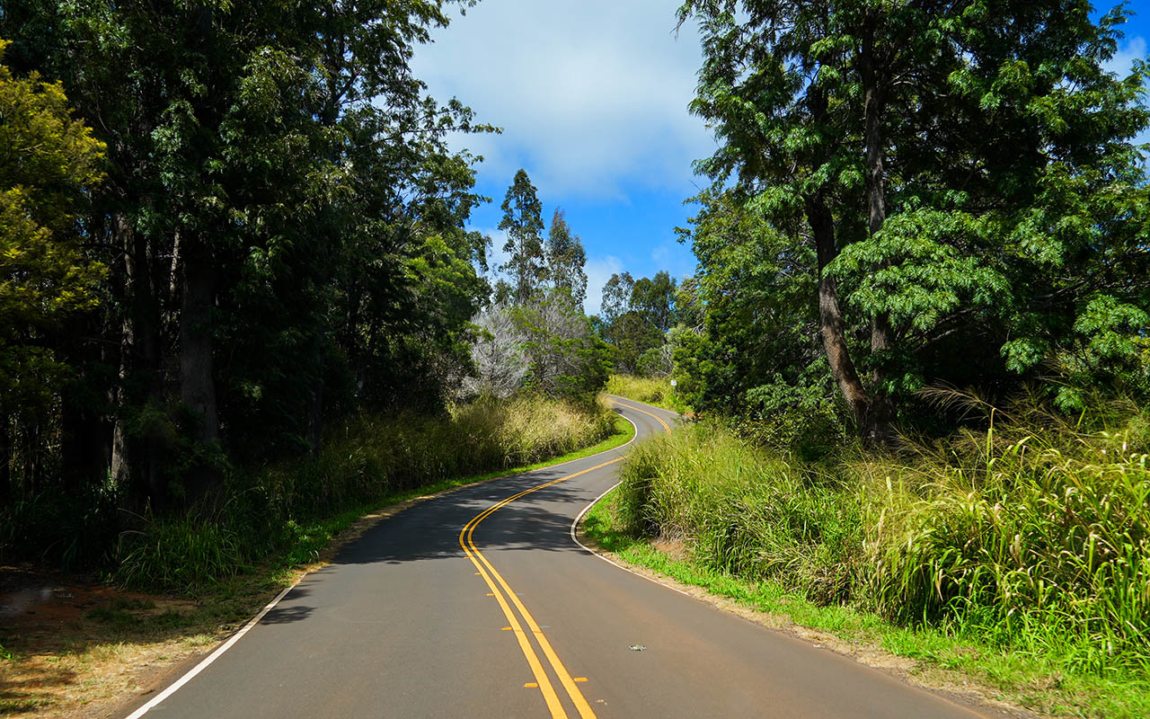 Waimea Road